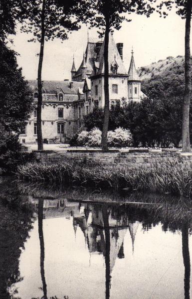 Le château de Nismes (Martine DEFOUX)