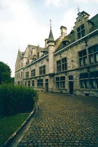 Le Château de Fallais ( M TOUSSAINT )