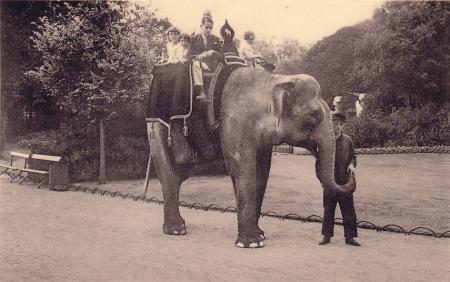 ANVERS:le zoo.